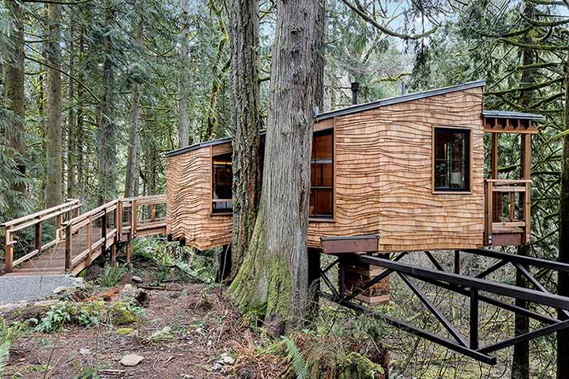 The Ananda Treehouse, an ADA accessible treehouse just outside of Seattle, featuring Marvin windows.