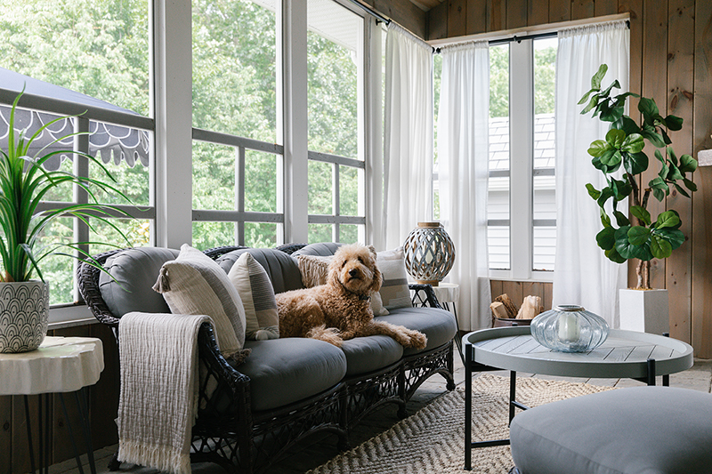 A dog laying on a couch in the screened porch of a contemporary cottage home, featuring Marvin Elevate windows.