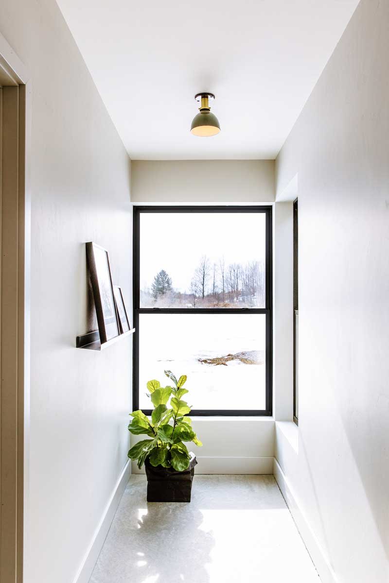 Interior view of a sunny hallway, with a rubber tree bathed in light. Two Marvin Essential double-hung windows reveal the snowy landscape.