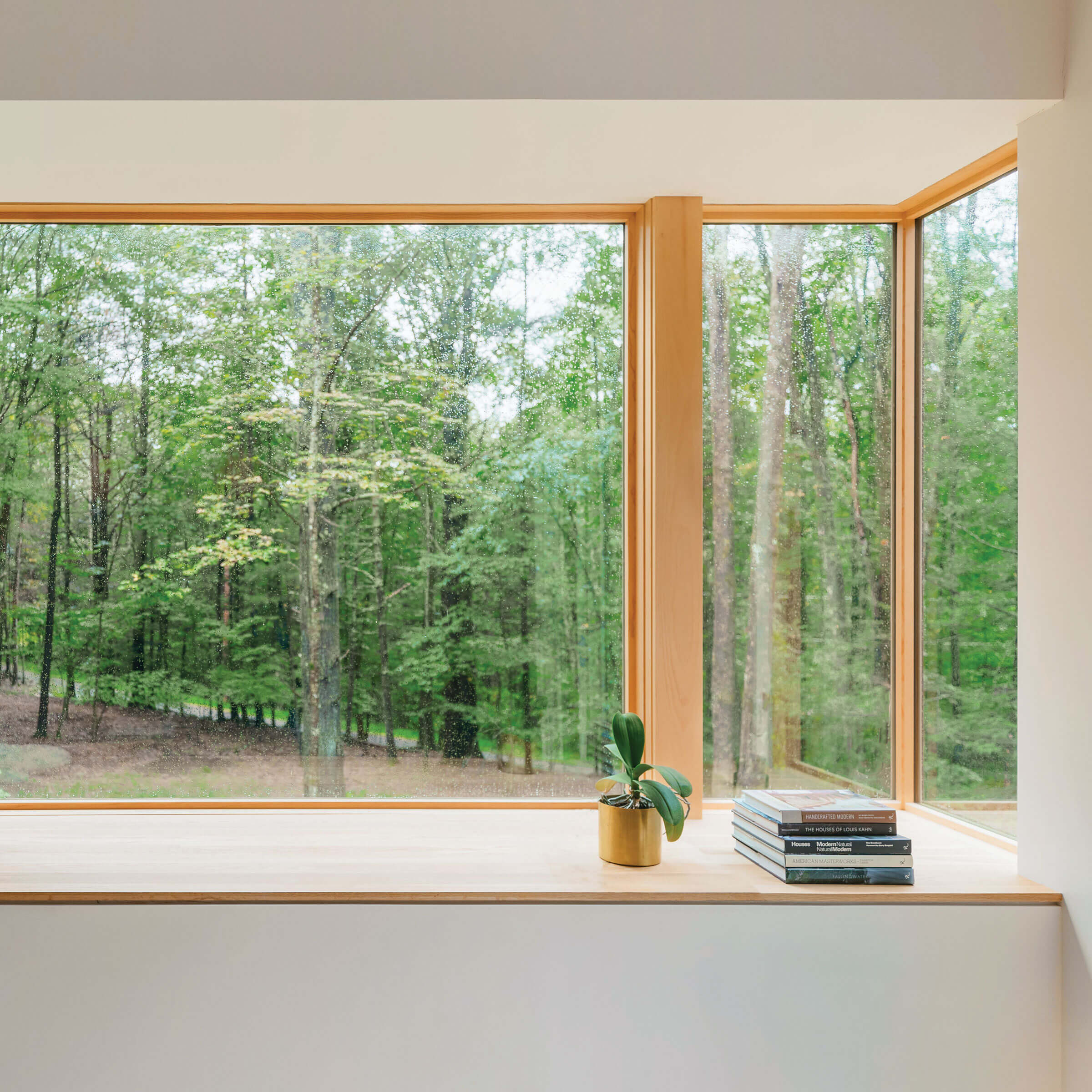 View Of Trees Through Signature Ultimate Corner Narrow Frame Window 