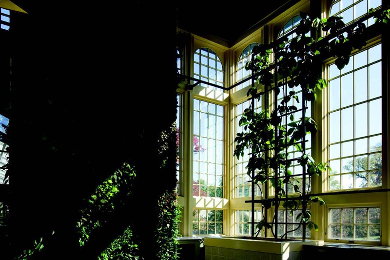 An interior view of greenery inside the Druid Hill Conservatory in Baltimore, Maryland, featuring Marvin Ultimate windows.