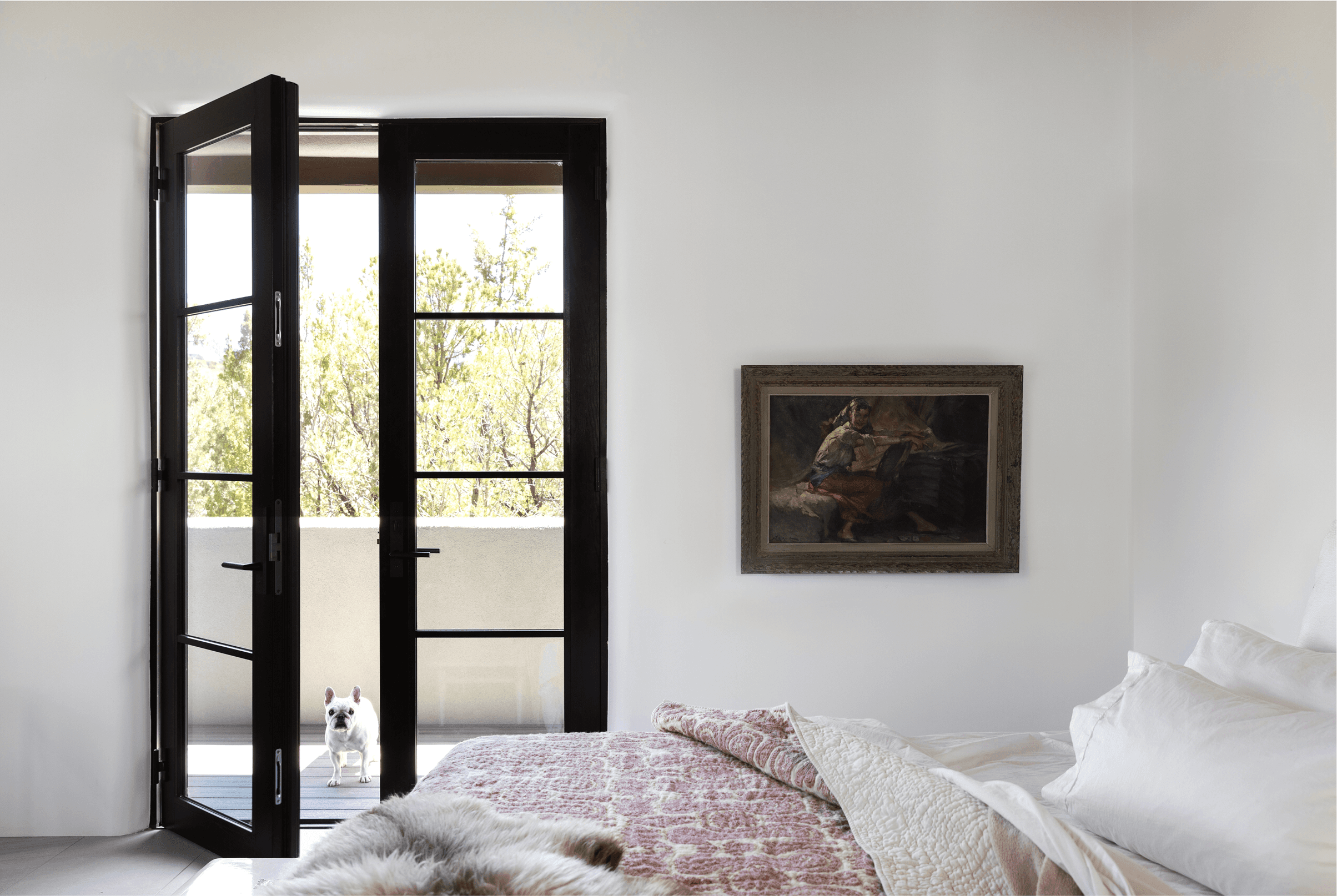 White bedroom interior with a white dog looking through an opened black Marvin Ultimate Swinging Door.